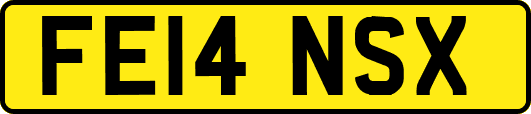 FE14NSX