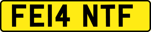 FE14NTF