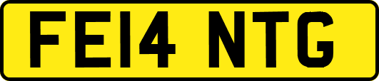 FE14NTG