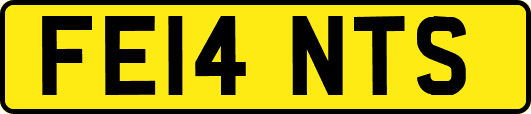 FE14NTS