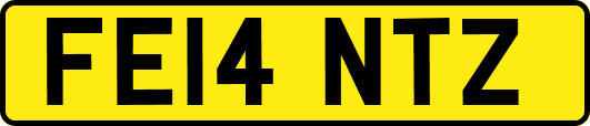 FE14NTZ