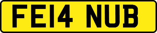 FE14NUB