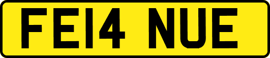 FE14NUE