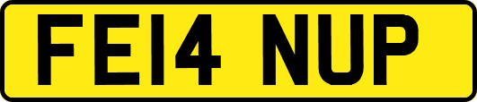 FE14NUP
