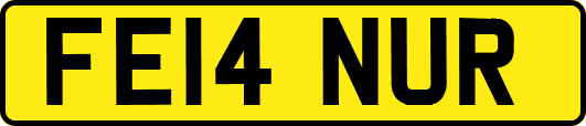 FE14NUR