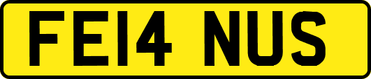 FE14NUS