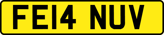 FE14NUV