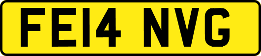 FE14NVG