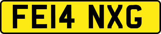 FE14NXG
