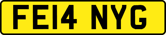 FE14NYG