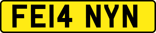 FE14NYN