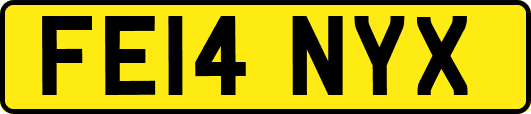 FE14NYX