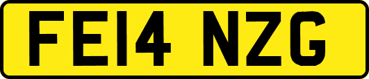 FE14NZG