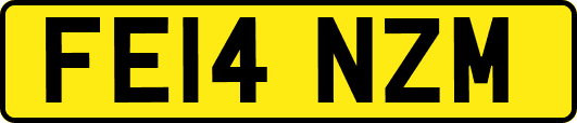 FE14NZM