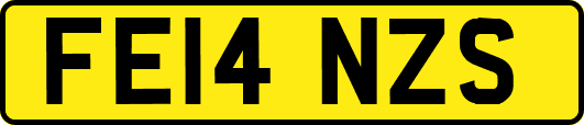 FE14NZS