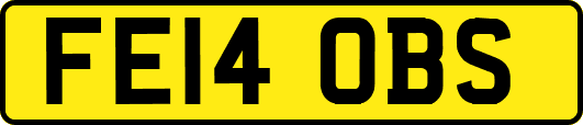 FE14OBS