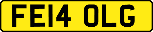 FE14OLG