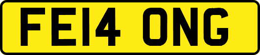 FE14ONG