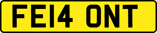 FE14ONT