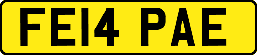 FE14PAE