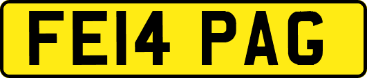 FE14PAG