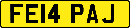 FE14PAJ