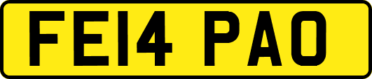 FE14PAO