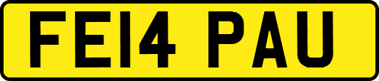 FE14PAU
