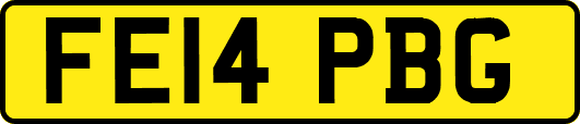FE14PBG