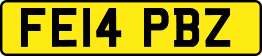 FE14PBZ