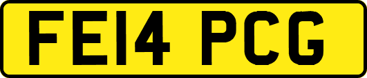 FE14PCG