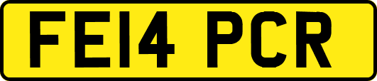 FE14PCR