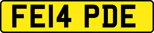 FE14PDE