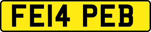 FE14PEB