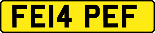 FE14PEF