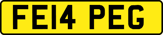 FE14PEG