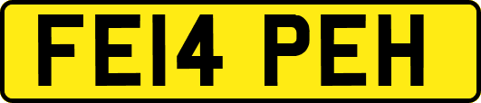 FE14PEH