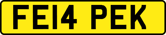FE14PEK