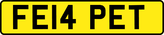 FE14PET
