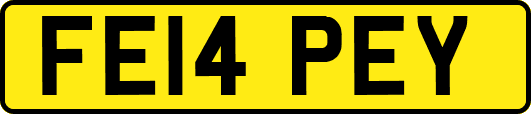 FE14PEY