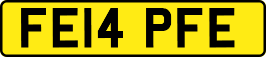 FE14PFE