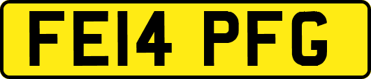 FE14PFG