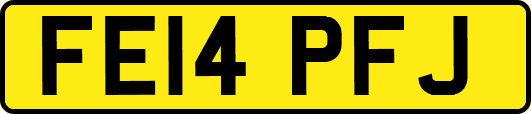 FE14PFJ