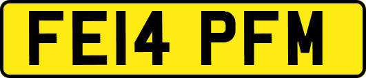 FE14PFM