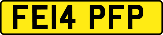 FE14PFP