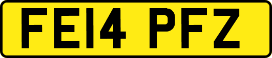 FE14PFZ