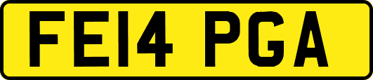 FE14PGA