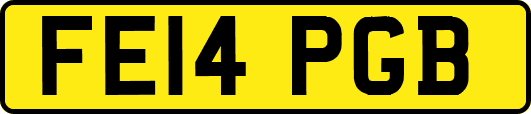 FE14PGB