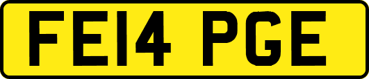 FE14PGE