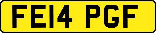 FE14PGF
